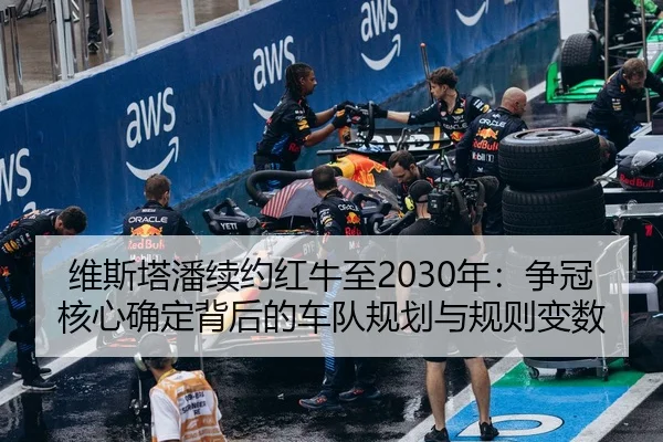wei-si-ta-pan-xu-yue-hong-niu-zhi-nian-zheng-guan-he-xin-que-ding-bei-hou-de-che-dui-gui-hua-yu-gui-ze-bian-shu-2-235.jpg